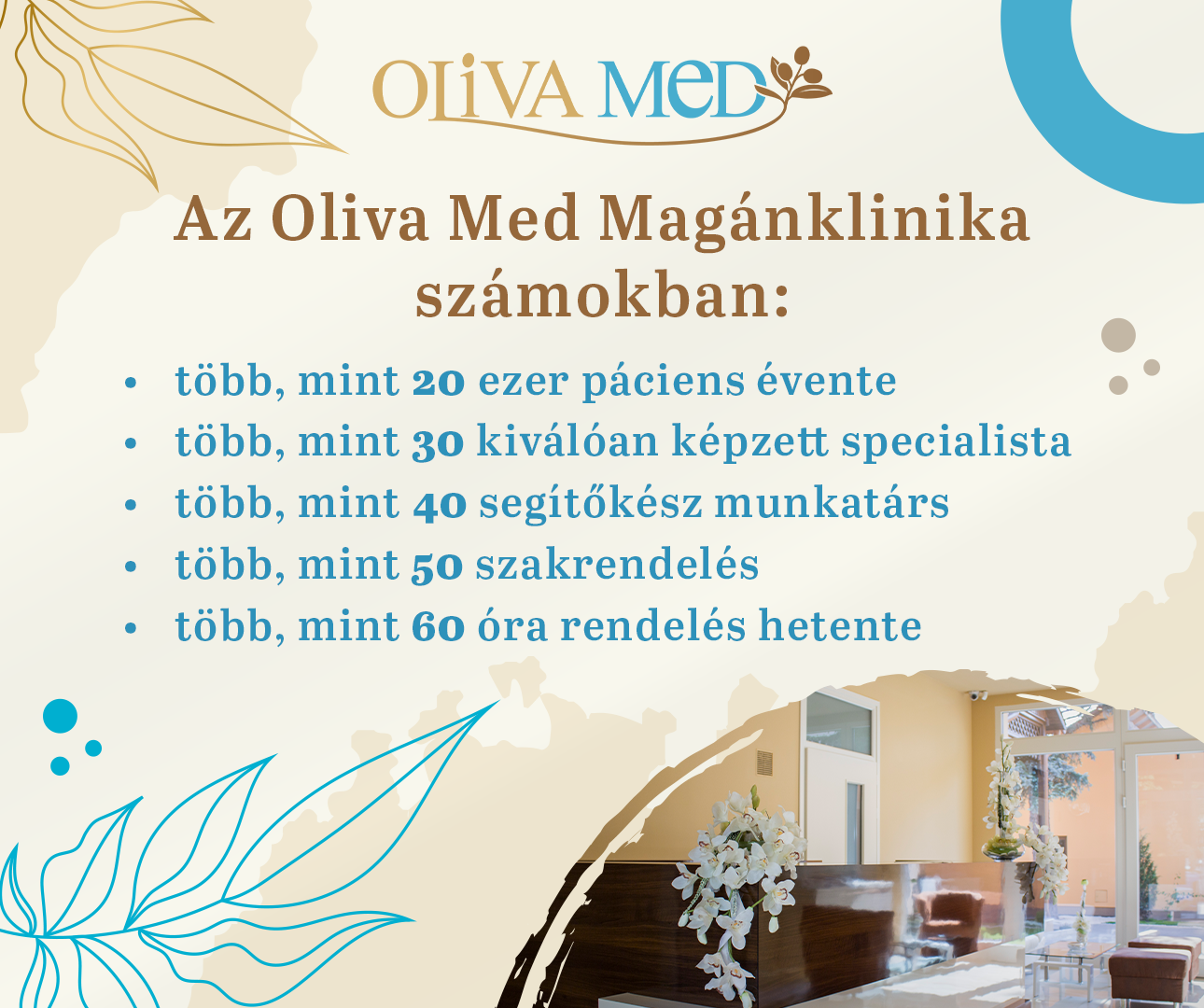 Oliva Med számokban